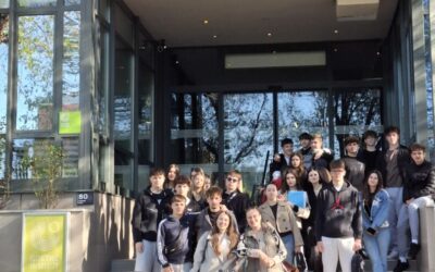 Polaganje međunarodno priznatih certifikata iz Njemačkog jezika