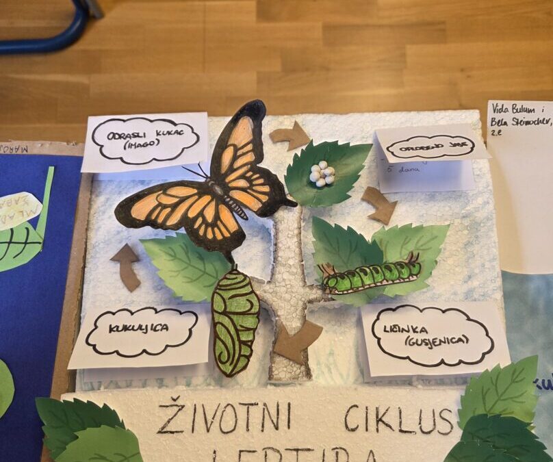 Dan biološke raznolikosti u Devetoj